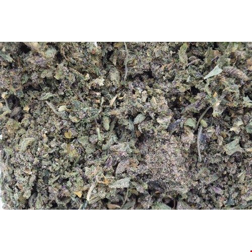 Premium Shake (Bluebery Muffin) (Hybrid) - (3 OZ $100)
